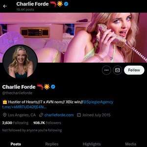 Charlie Forde, Twitter Porn Accounts