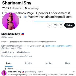 Sharinami Twitter, Twitter Porn Accounts