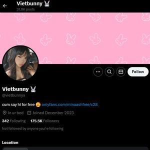 VietBunny, Twitter Porn Accounts