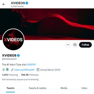 XVideos Twitter, Twitter Porn Accounts