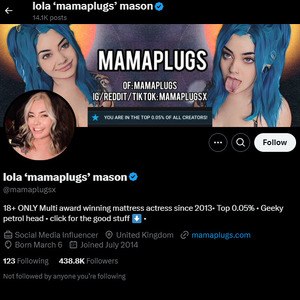 MamaPlugs, Twitter Porn Accounts