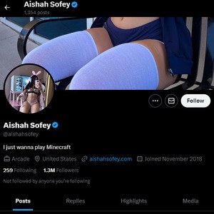 Aishah Sofey, Twitter Porn Accounts