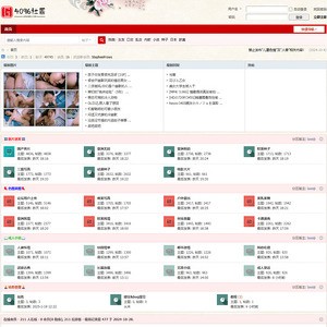 4096成人社区, 色情论坛