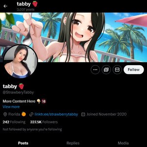 StrawberyTabby, Twitter Porn Accounts