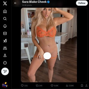 Sara Blake Cheek, Twitter Porn Accounts