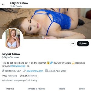 Skylar Snow, Twitter Porn Accounts