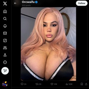 Orcwaifu, Twitter Porn Accounts