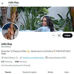 Julie Kay, Twitter Porn Accounts