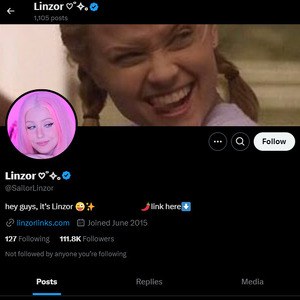 Linzor, Twitter Porn Accounts