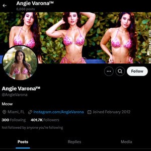 Angie Varona, Twitter Porn Accounts