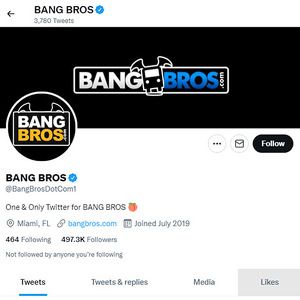 BangBros Twitter, Twitter Porn Accounts