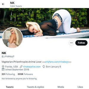 Nina Kayy, Twitter Porn Accounts