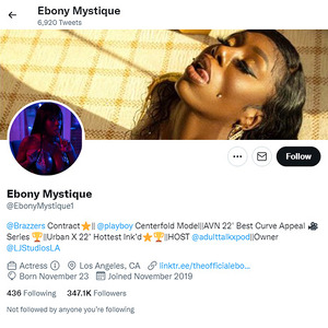 Ebony Mystique, Twitter Porn Accounts