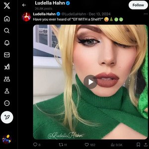 Ludella Hahn, Twitter Porn Accounts