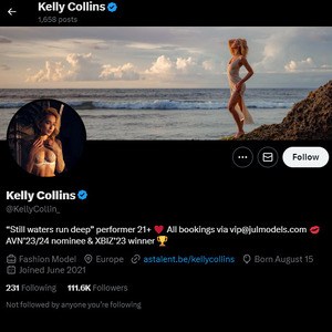 Kelly Collins, Twitter Porn Accounts