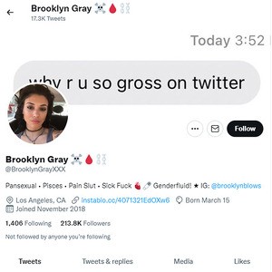 Brooklyn Gray, Twitter Porn Accounts