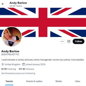 Andy Barlow, Twitter Porn Accounts