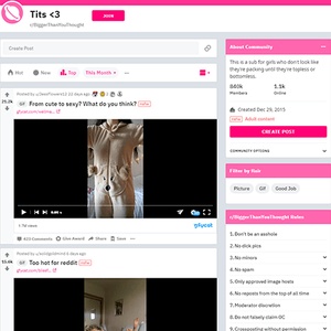 Reddit Bigger Than You Thought, Reddit NSFW List