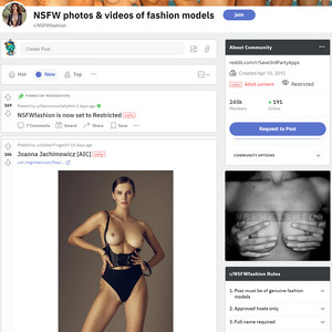 NSFW fashion, Reddit NSFW List