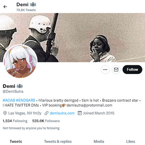 Demi Sutra, Twitter Porn Accounts