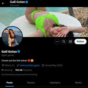 Gali Golan, Twitter Porn Accounts