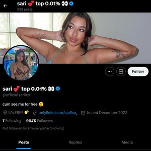 Sariixo, Twitter Porn Accounts