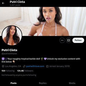 Putri Cinta, Twitter Porn Accounts