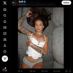 KaitViolet, Twitter Porn Accounts