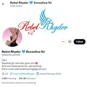 Rebel Rhyder, Twitter Porn Accounts