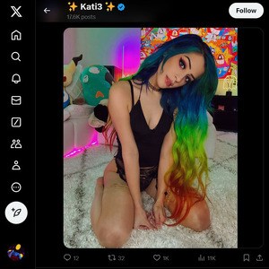 Kati3Kat, Twitter Porn Accounts