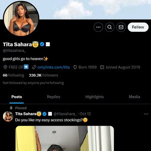 Tita Sahara, Twitter Porn Accounts