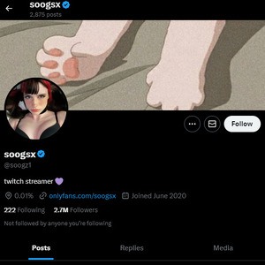 Soogsx, Twitter Porn Accounts