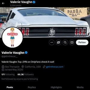 Valerie Vaughn, Twitter Porn Accounts