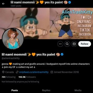 AlienTrashKitty, Twitter Porn Accounts