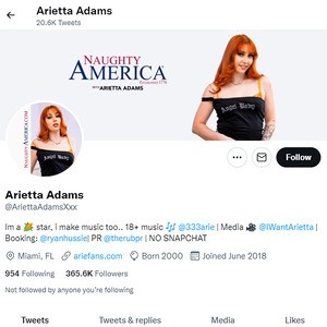 Arietta Adams, Twitter Porn Accounts