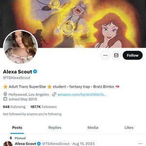 Alexa Scout Twitter (TS)