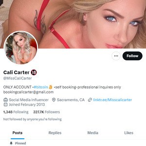 Cali Carter Twitter, Twitter Porn Accounts