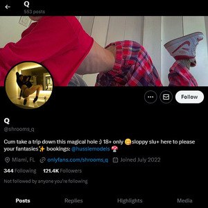 Shrooms Q, Twitter Porn Accounts