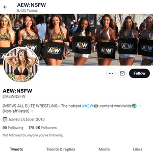 All Elite Wrestling, Twitter Porn Accounts