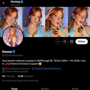 ThousAndHunny, Twitter Porn Accounts