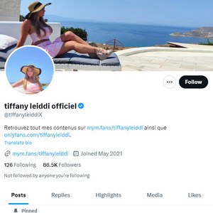 Tiffany Leiddi Twitter, Comptes Twitter pornos