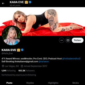 Kaiia Eve, Twitter Porn Accounts