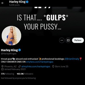 Harley King, Twitter Porn Accounts