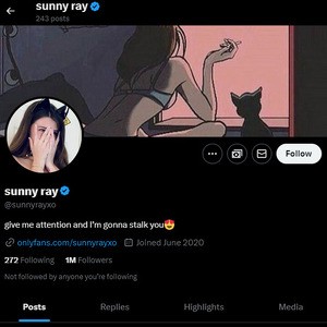 SunnyRayXO, Twitter Porn Accounts