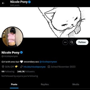 Nicole Pony, Twitter Porn Accounts