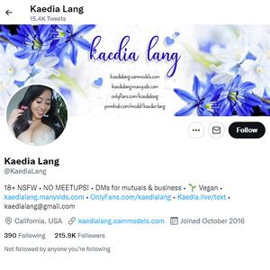 Kaedia Lang, Twitter Porn Accounts