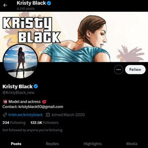 Kristy Black, Twitter Porn Accounts