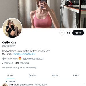 Cutie Kim Twitter, Twitter Porn Accounts