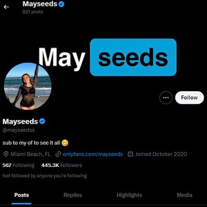 MaySeeds, Twitter Porn Accounts