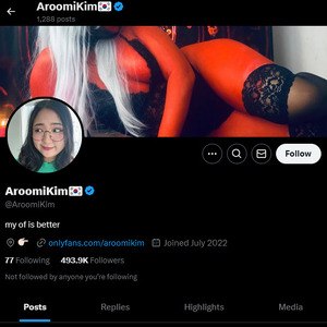 Aroomi Kim, Twitter Porn Accounts